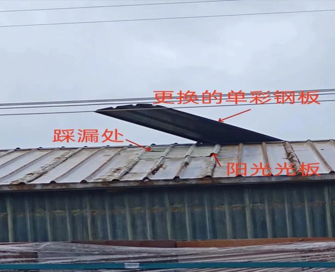 当地雨棚坍塌造成16人死亡！或涉及腐败！约基奇的叔叔涉案被拘留